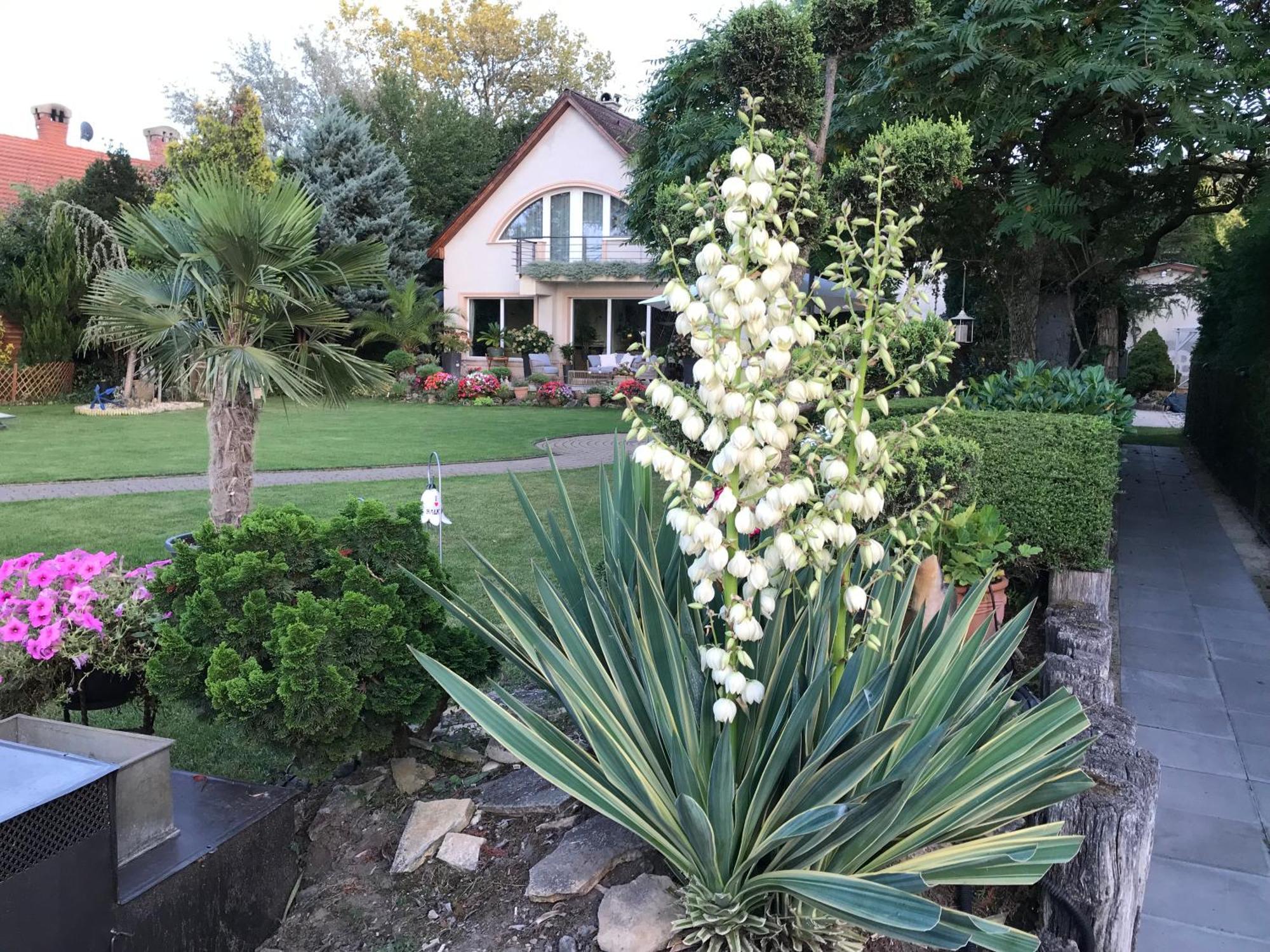 Viktoria House Villa Balatonszarszo Exterior photo